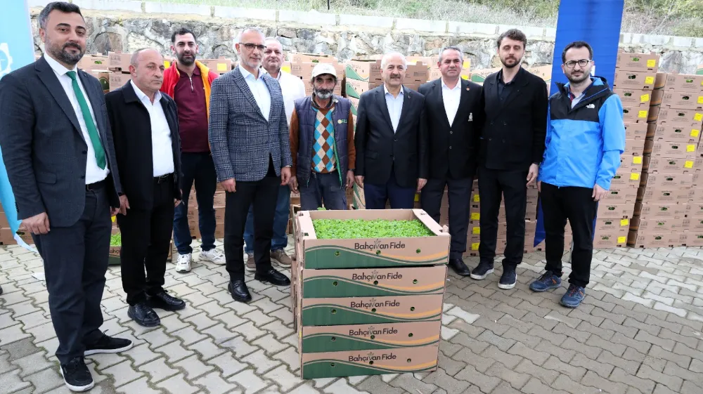 Gebzeli çiftçiye 500 bin sebze fidesi